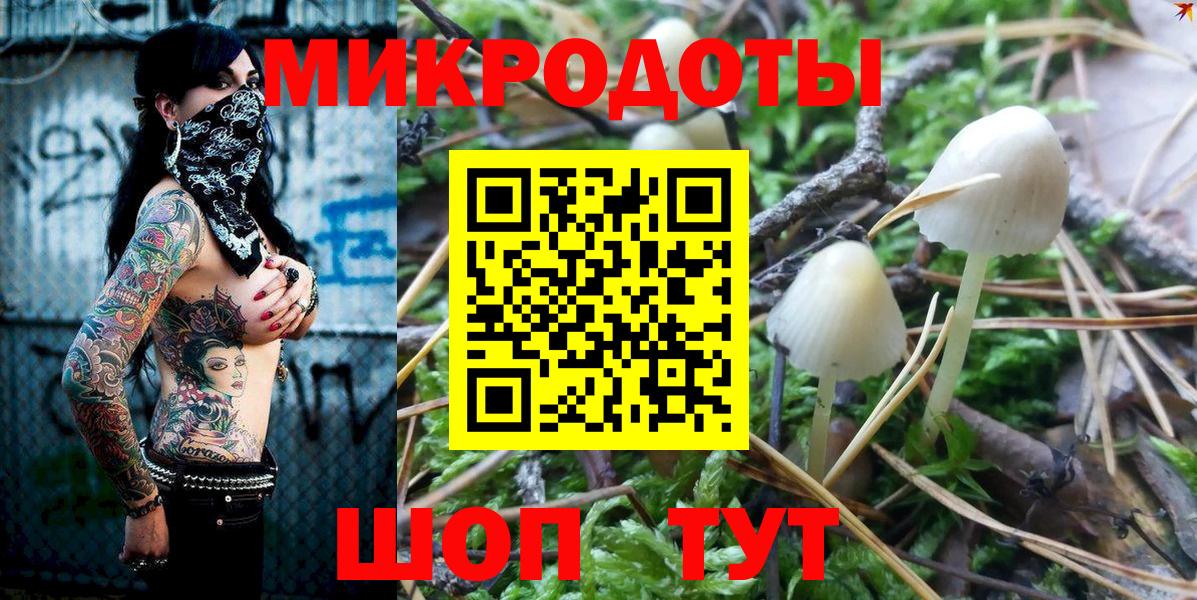 Добрянка  Галлюциногенные грибы MAGIC MUSHROOMS  Вход с VPN 