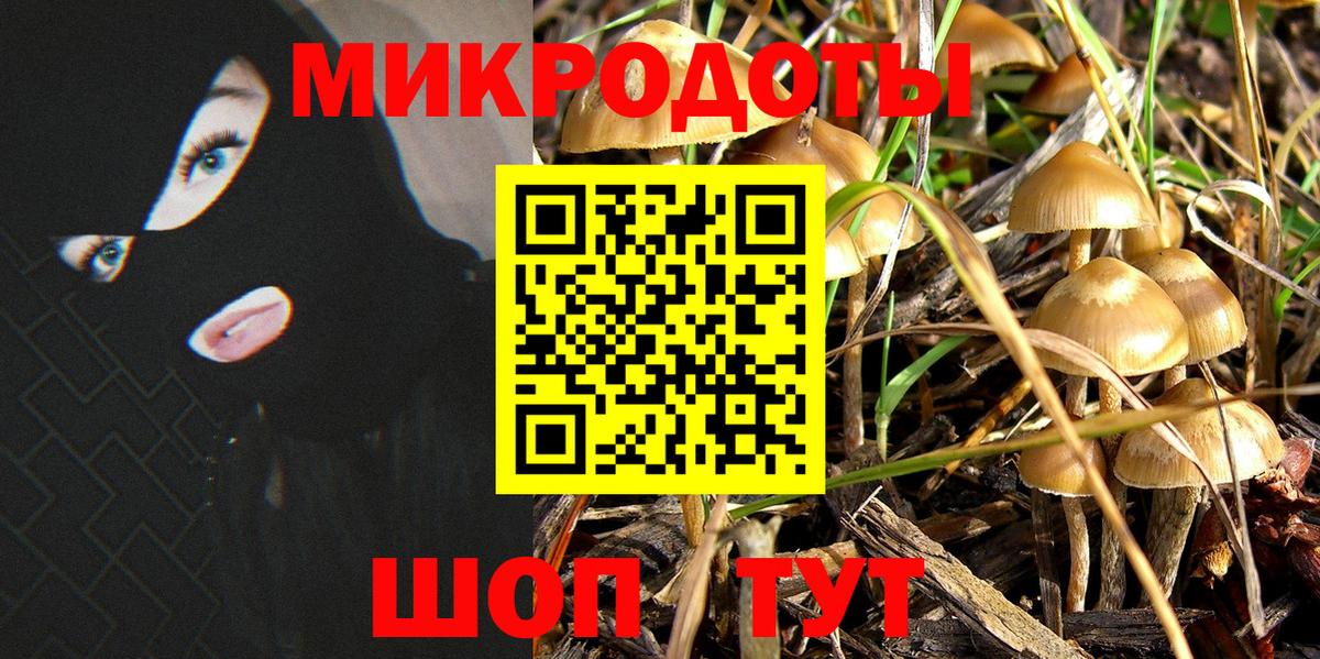 Псилоцибиновые грибы Cubensis Добрянка